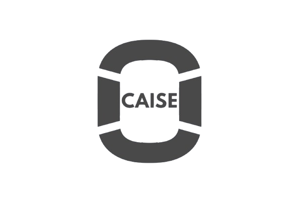 AI Security Expert Logo